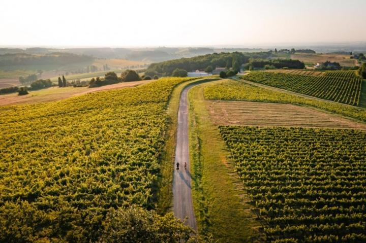 Domaine De La Monestarié Bernac (Tarn)
