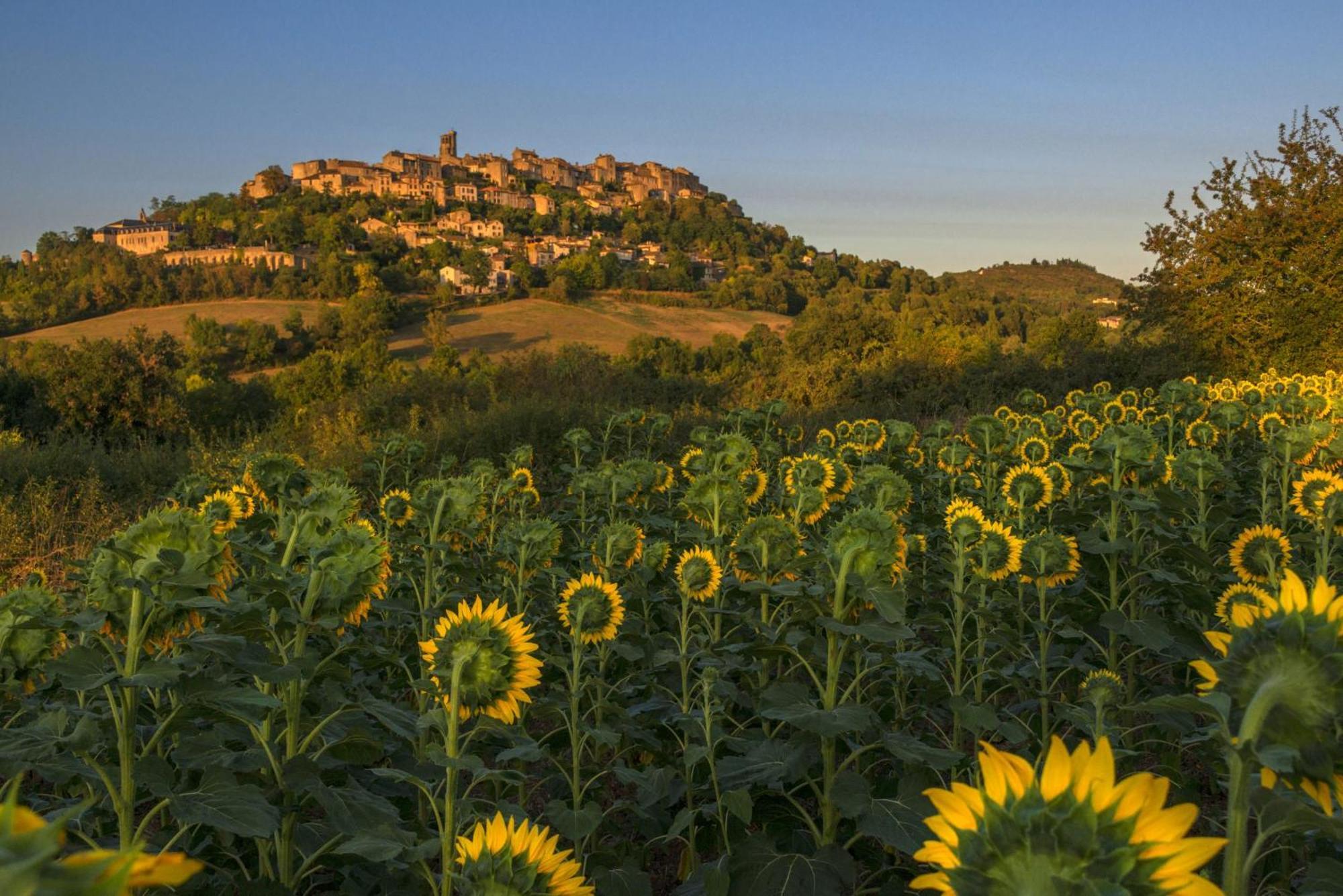 Pensión Domaine De La Monestarié